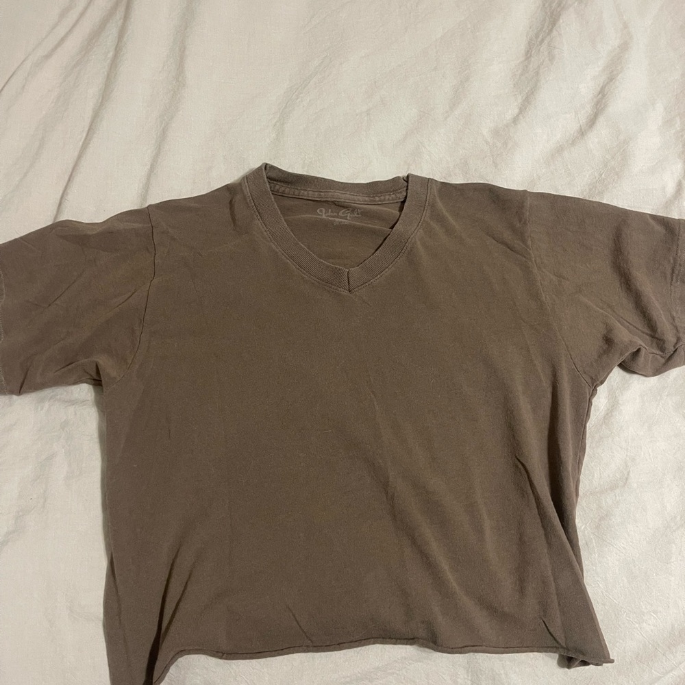 Brandy Melville Brown Crop Top